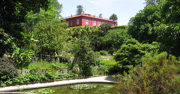 Place Jardín Botánico de la Universidad de Oporto