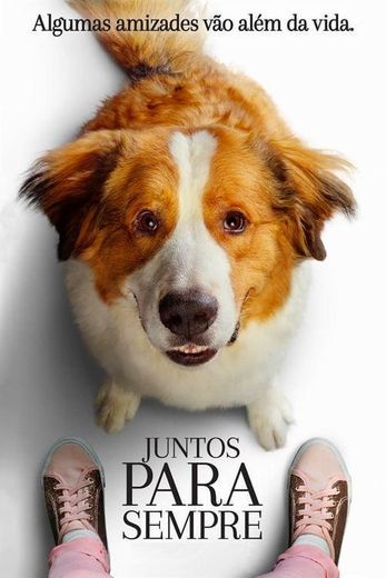 Película A Dog's Journey