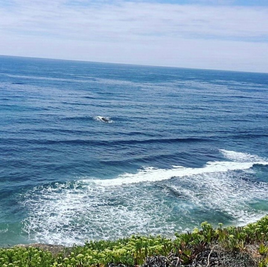 Place Praia de São Sebastião