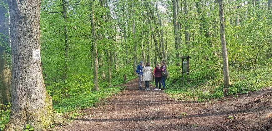 Lugar Rimska park šuma