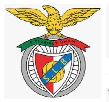 Moda Benfica