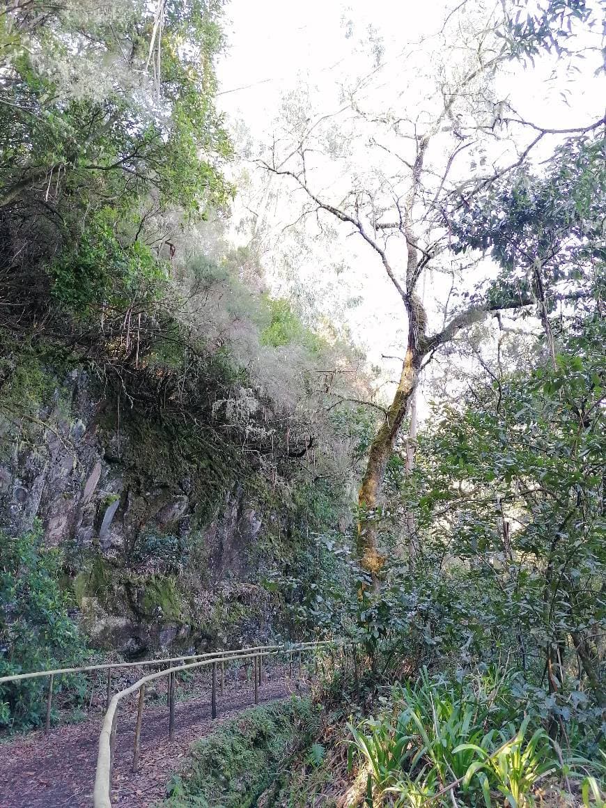 Place Pico das Pedras (levada) 