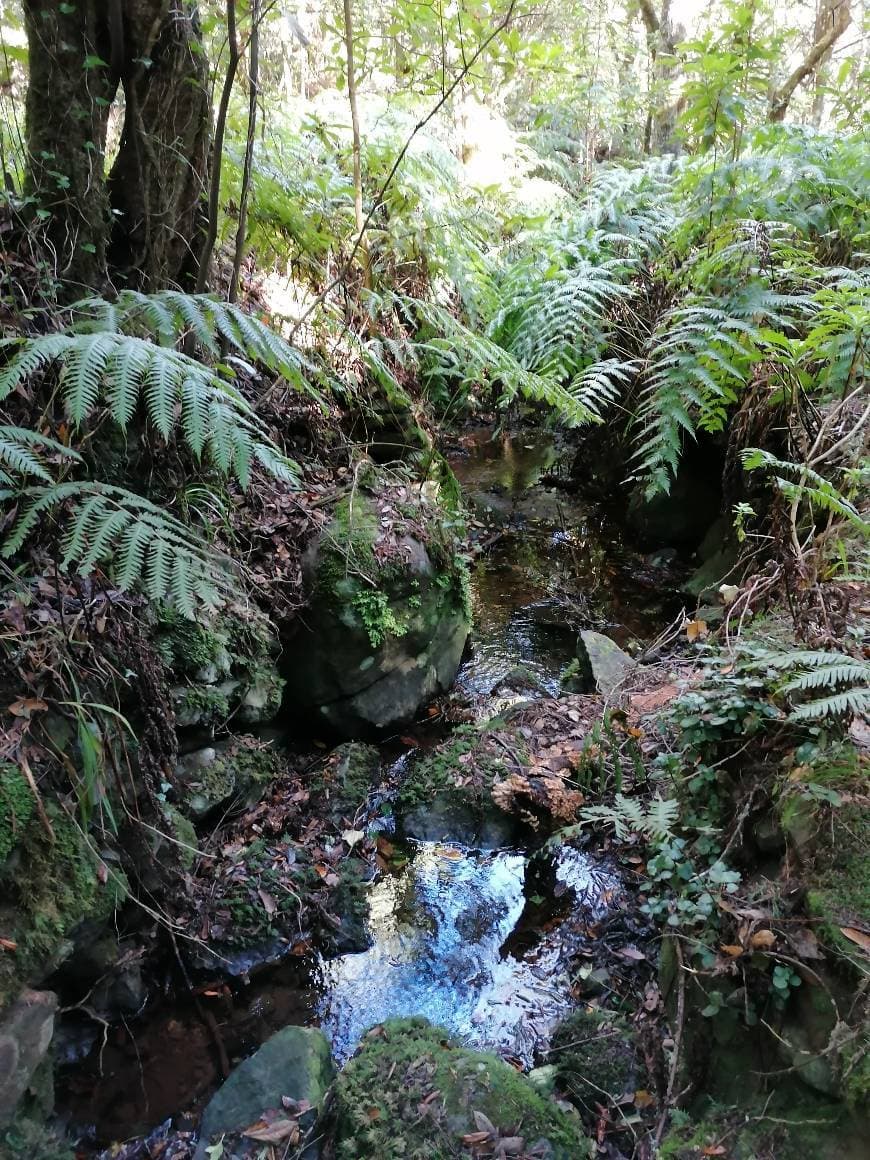 Place Pico das Pedras (levada) 