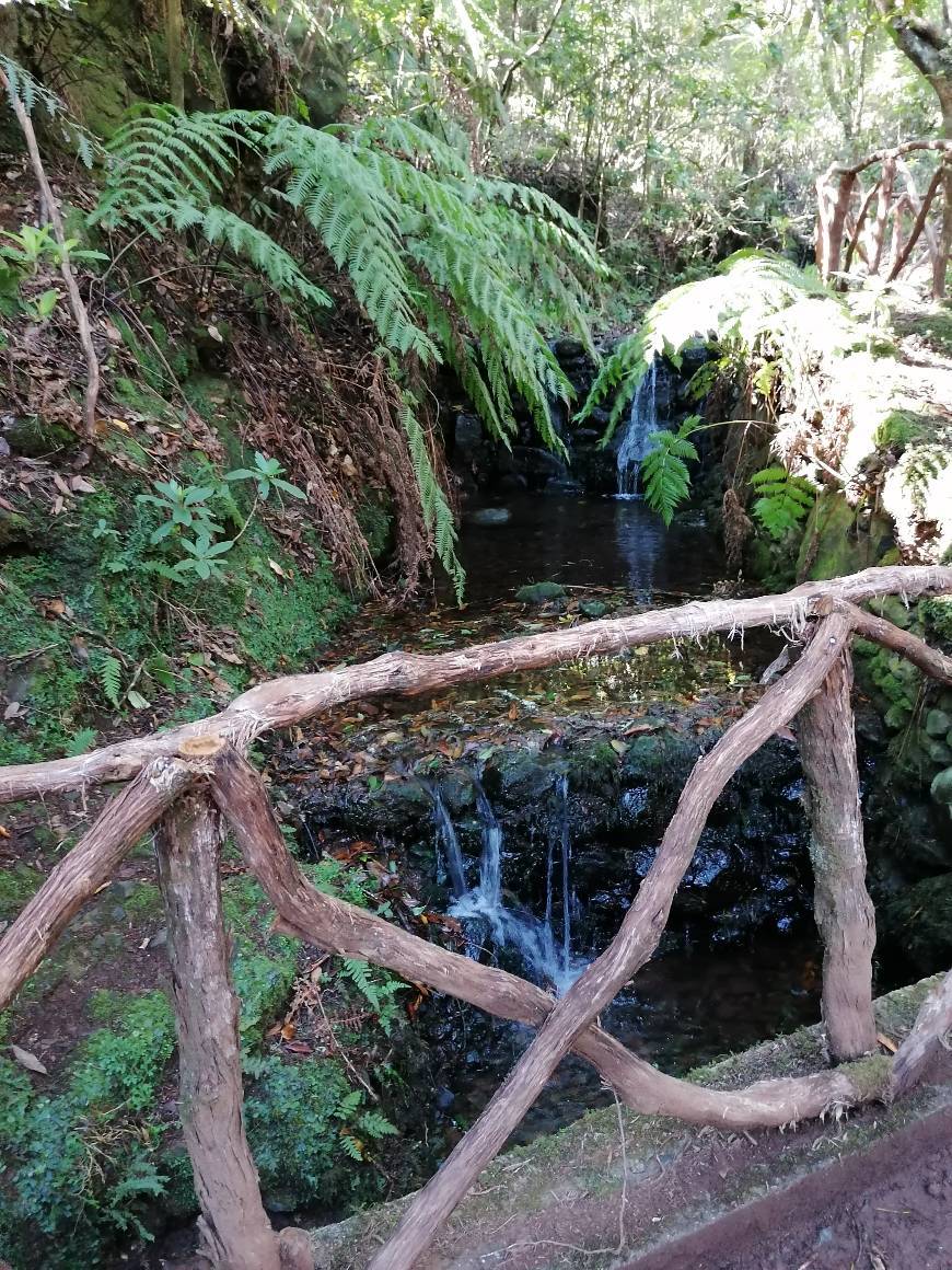 Place Pico das Pedras (levada) 