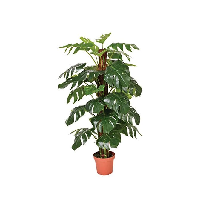 Product Catral 74010020 Planta artificial Monstera