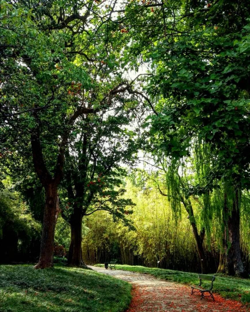 Place Jardín Botánico de la Universidad de Lisboa