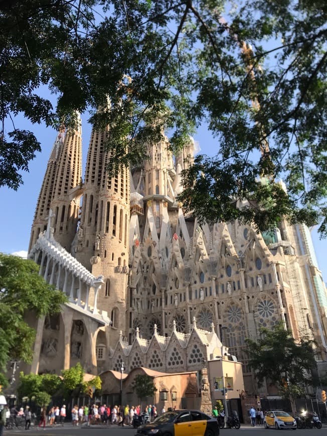 Lugar Basílica Sagrada Familia