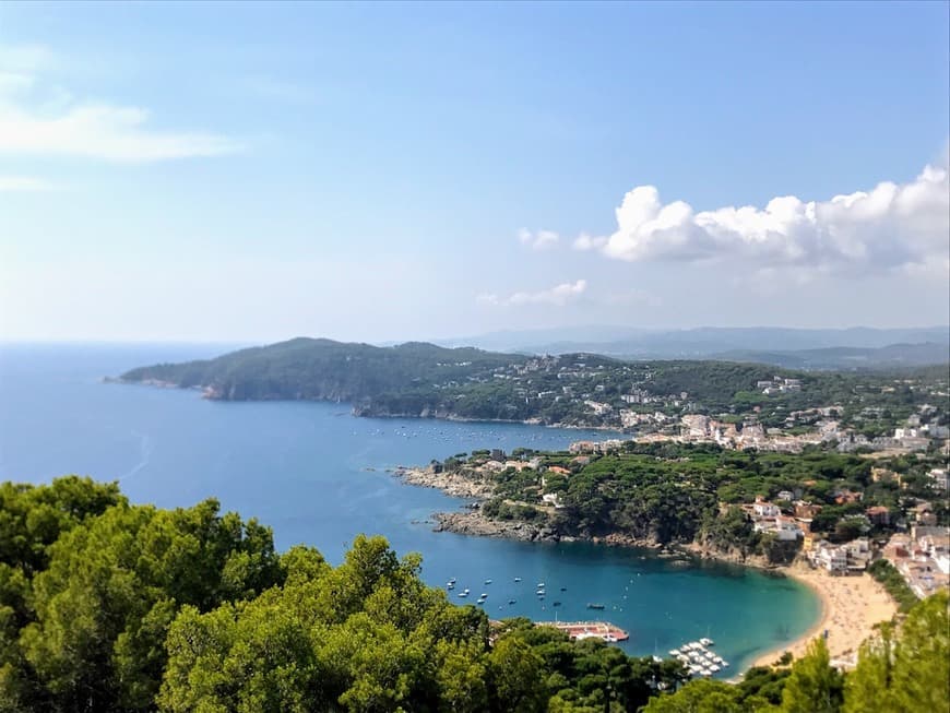 Lugar Mirador Faro de San Sebastián