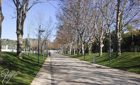 Lugar Parque Municipal de Loulé