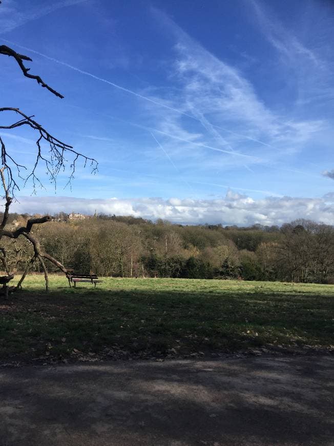 Lugar Hampstead Heath