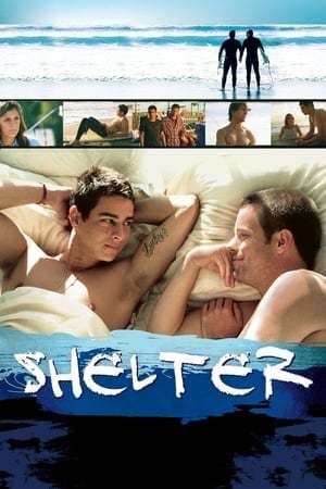 Película Shelter