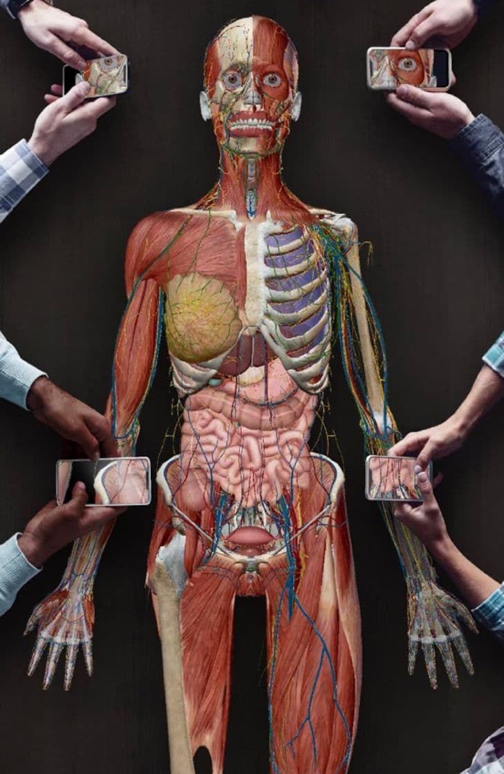 App ‎Atlas de anatomía humana 2021 en App Store