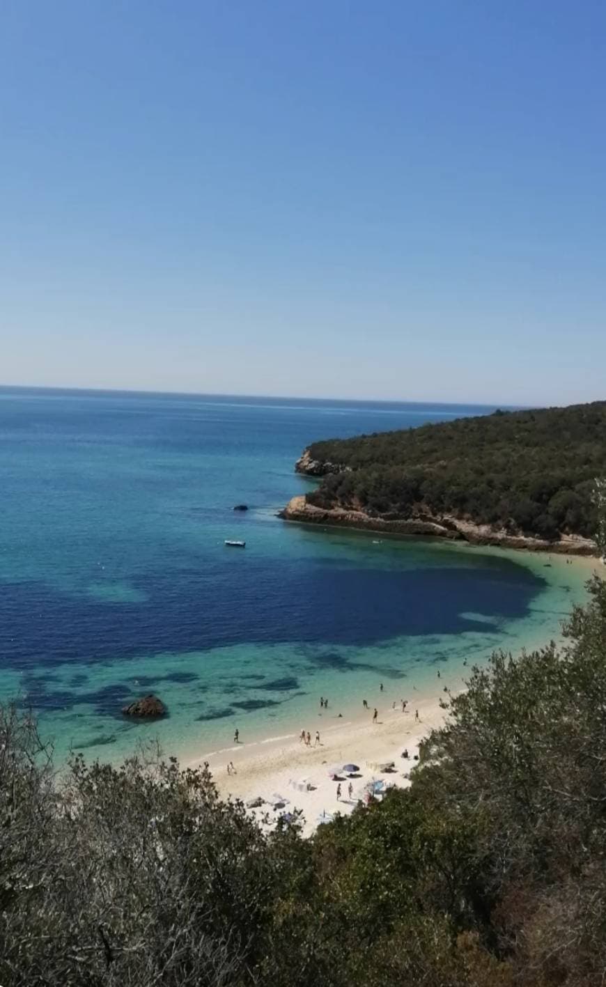 Lugar Praia dos Galapinhos