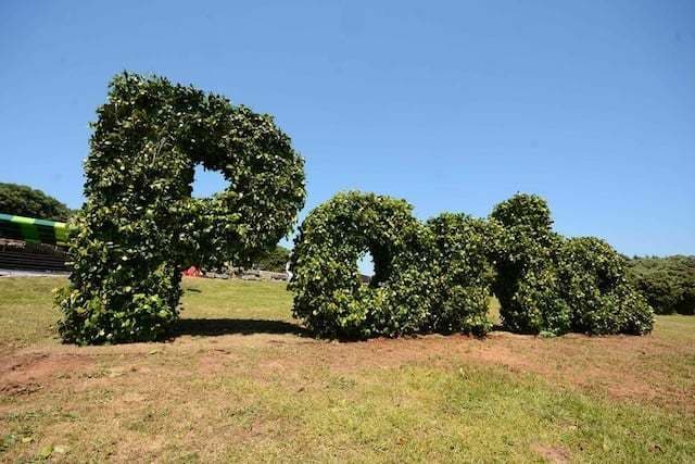 Place Parque Cidade