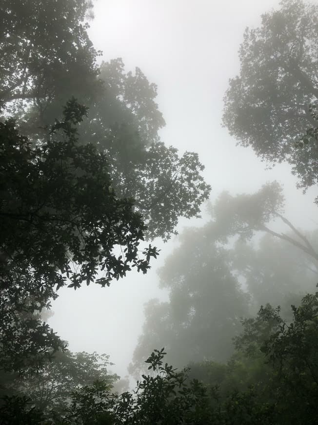 Lugar Cerro de Chipinque