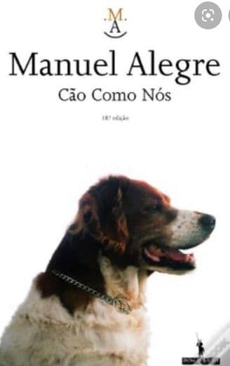 Book Um cão como nós