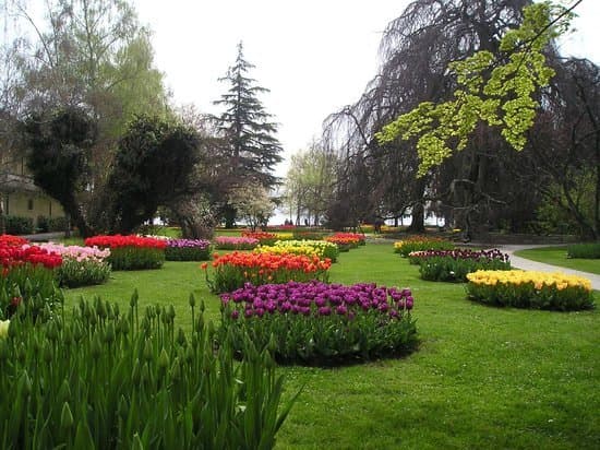 Lugar Jardin Botanique