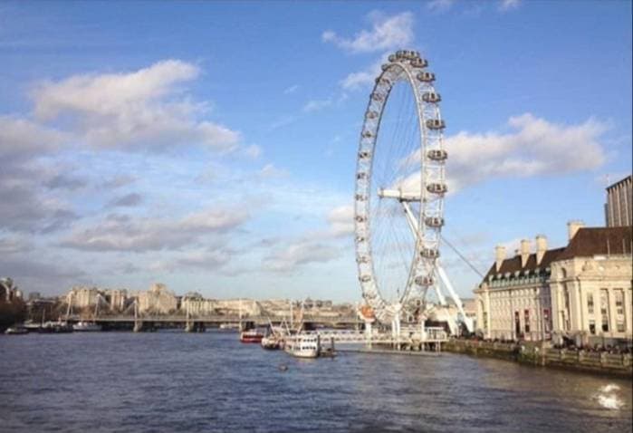 Place London Eye