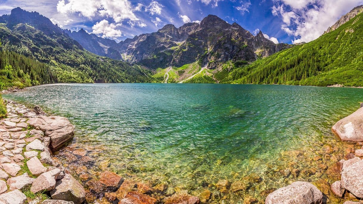 Restaurantes Morskie Oko