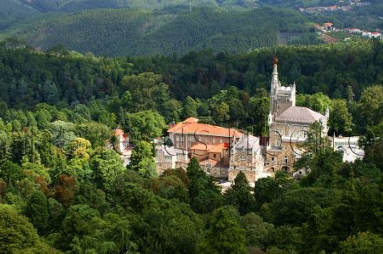 Place Fundação Mata do Bussaco