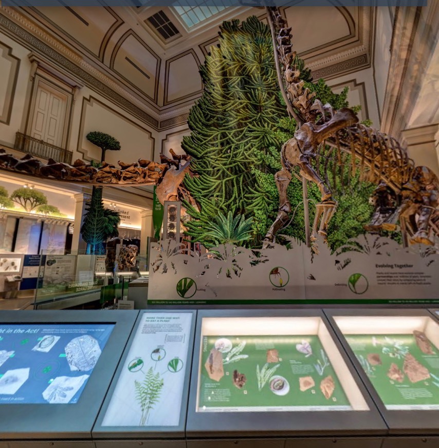 Place National Museum of Natural History - Virtual Tours 