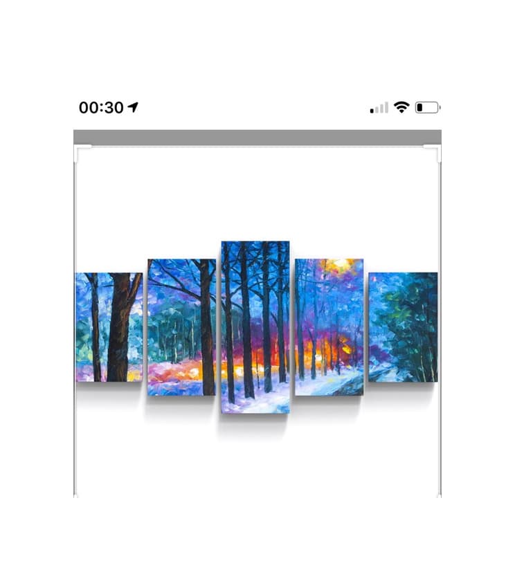 Product Conjunto 5 quadros paisagem do bosque