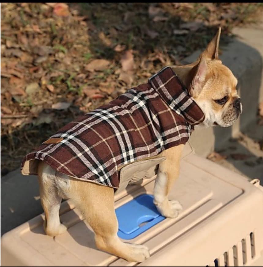 Product Roupa para o seu bichinho de estimação 