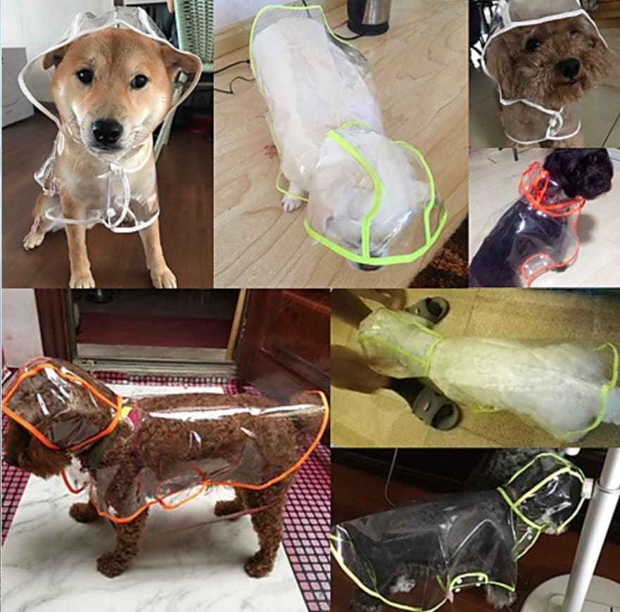 Product Capas para os proteger da chuva para gatos e cães 🤣❤️