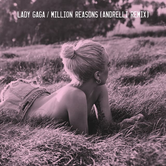 Canción Million Reasons - Andrelli Remix