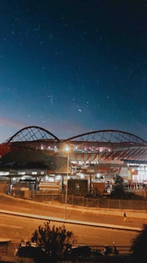 Lugar Estádio Sport Lisboa e Benfica