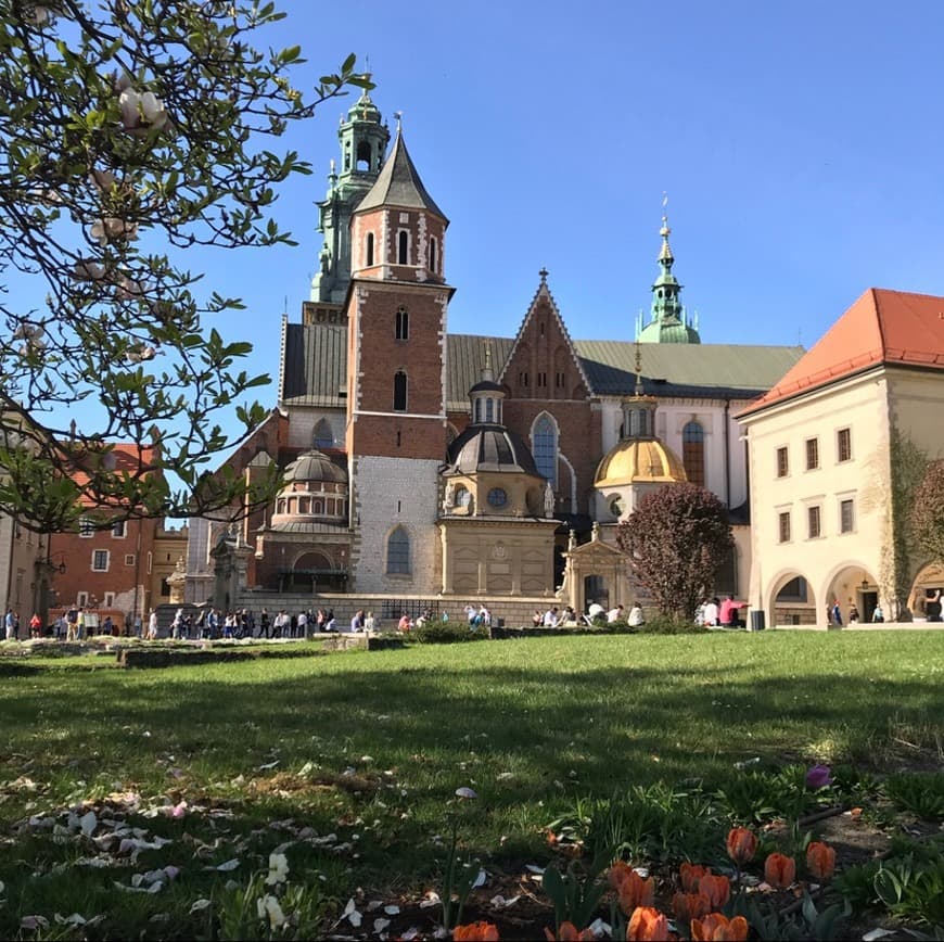 Place Castillo de Wawel