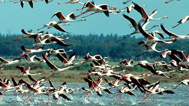 Lugar Reserva natural del Estuario del Tajo