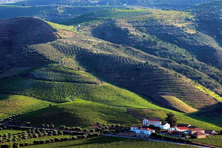 Lugar Vila Nova de Foz Côa