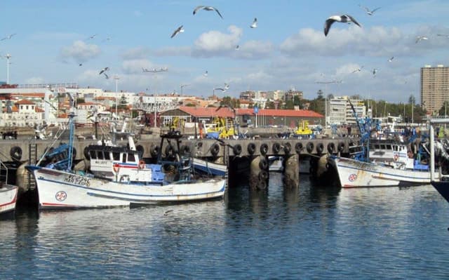 Lugar Doca Peixe Matosinhos