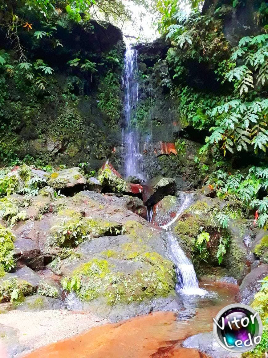 Place Chá Gorreana