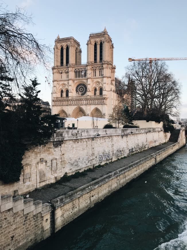 Place Notre Dame