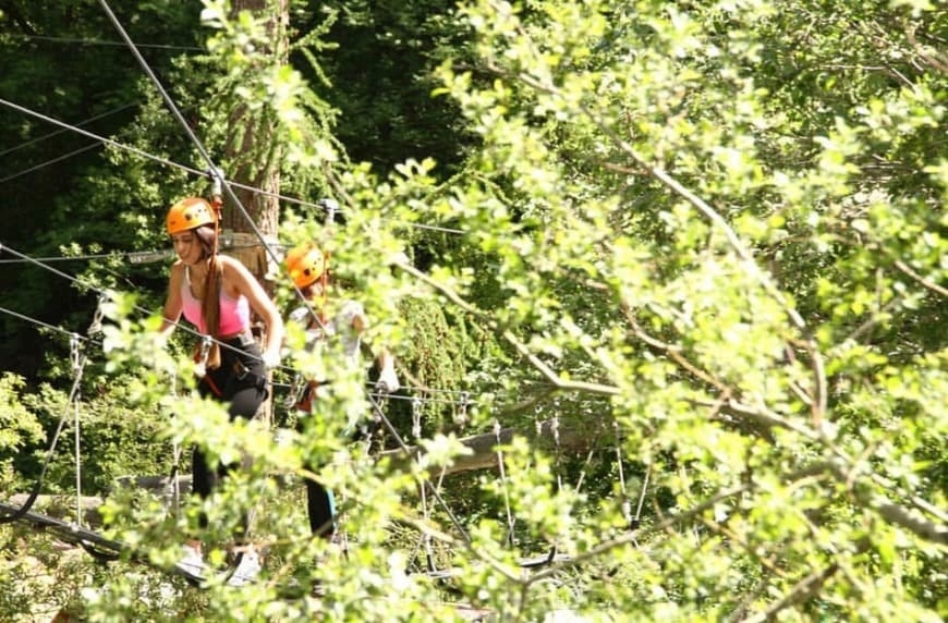 Place Forest Fun Park Zermatt