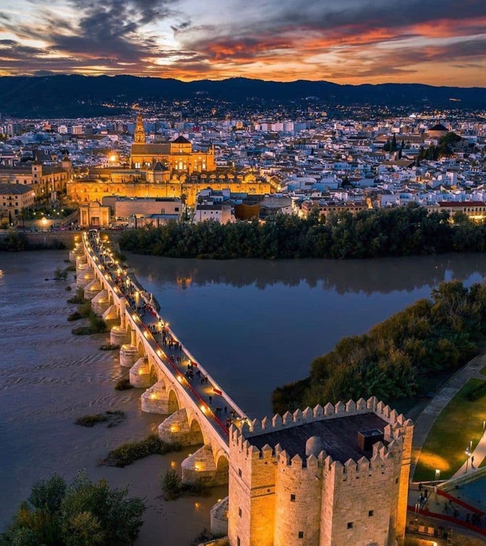 Place Puente Romano de Córdoba