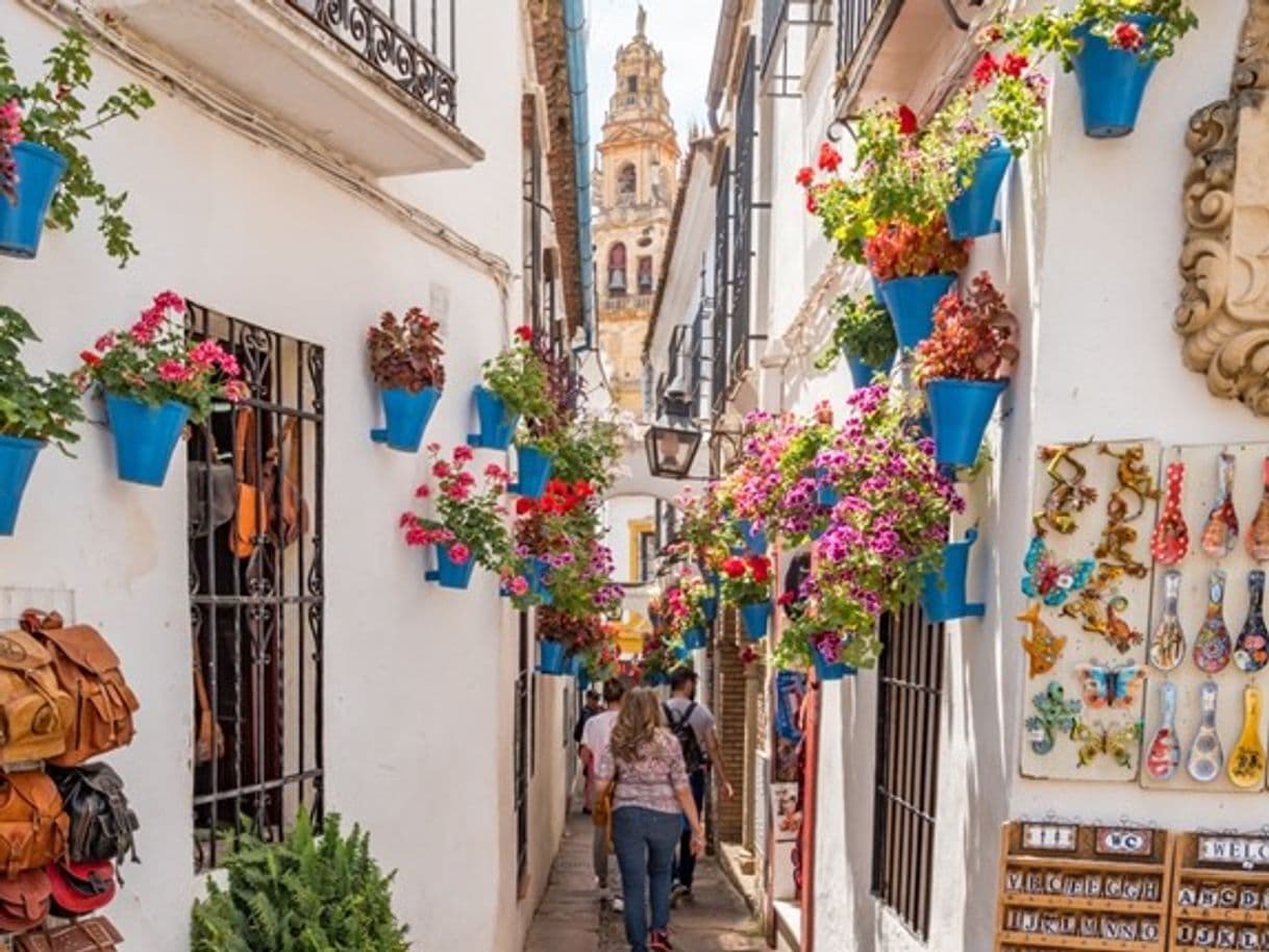 Lugar Calleja de las Flores