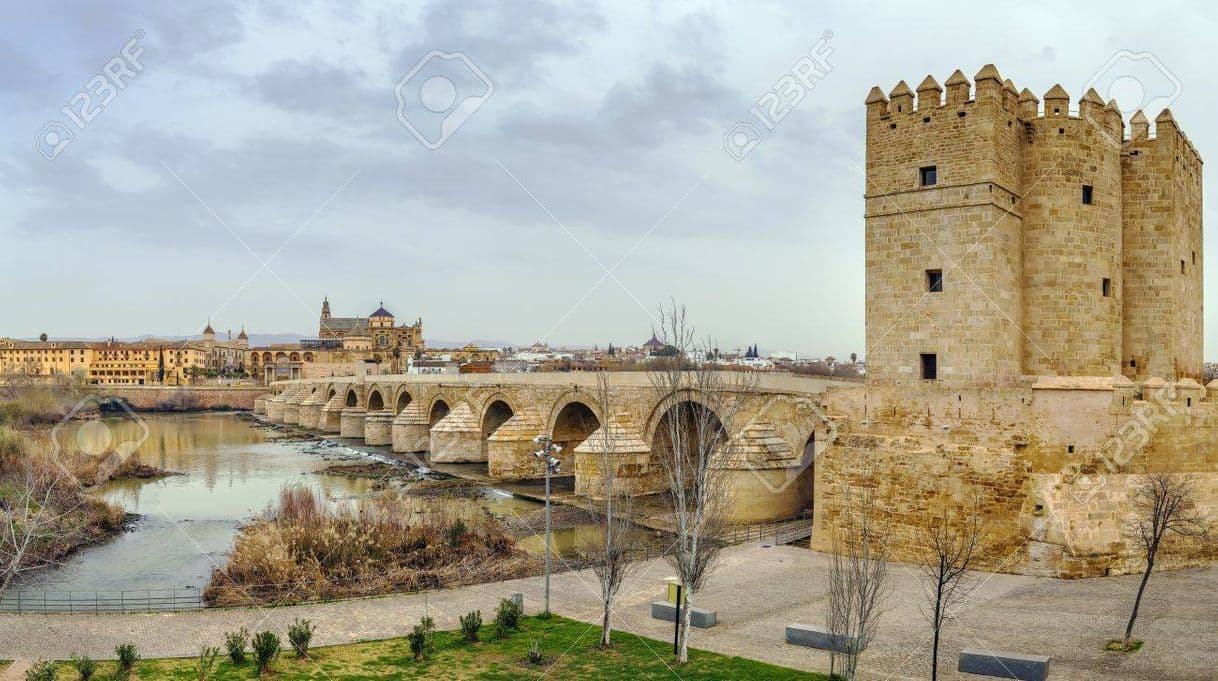 Lugar Torre De Calahorra