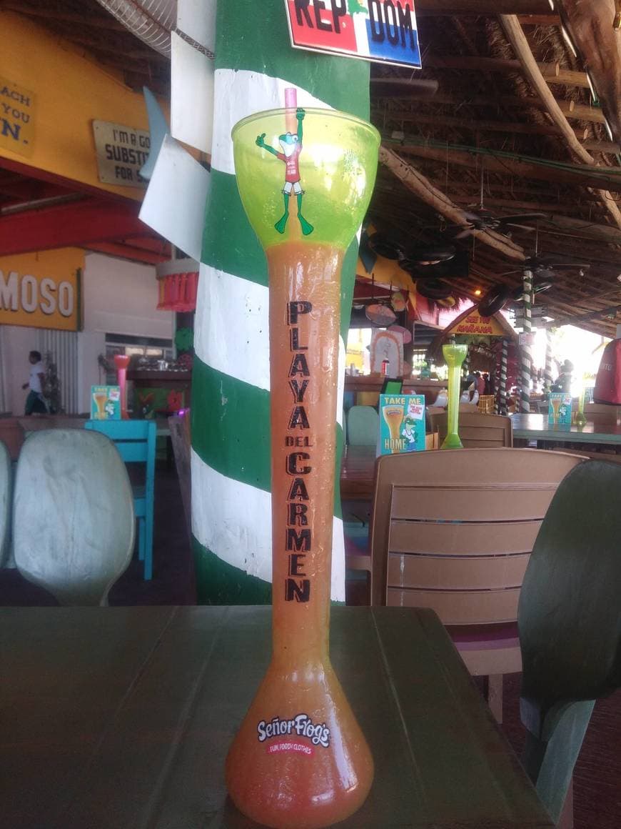 Lugar Señor Frog's Playa del Carmen