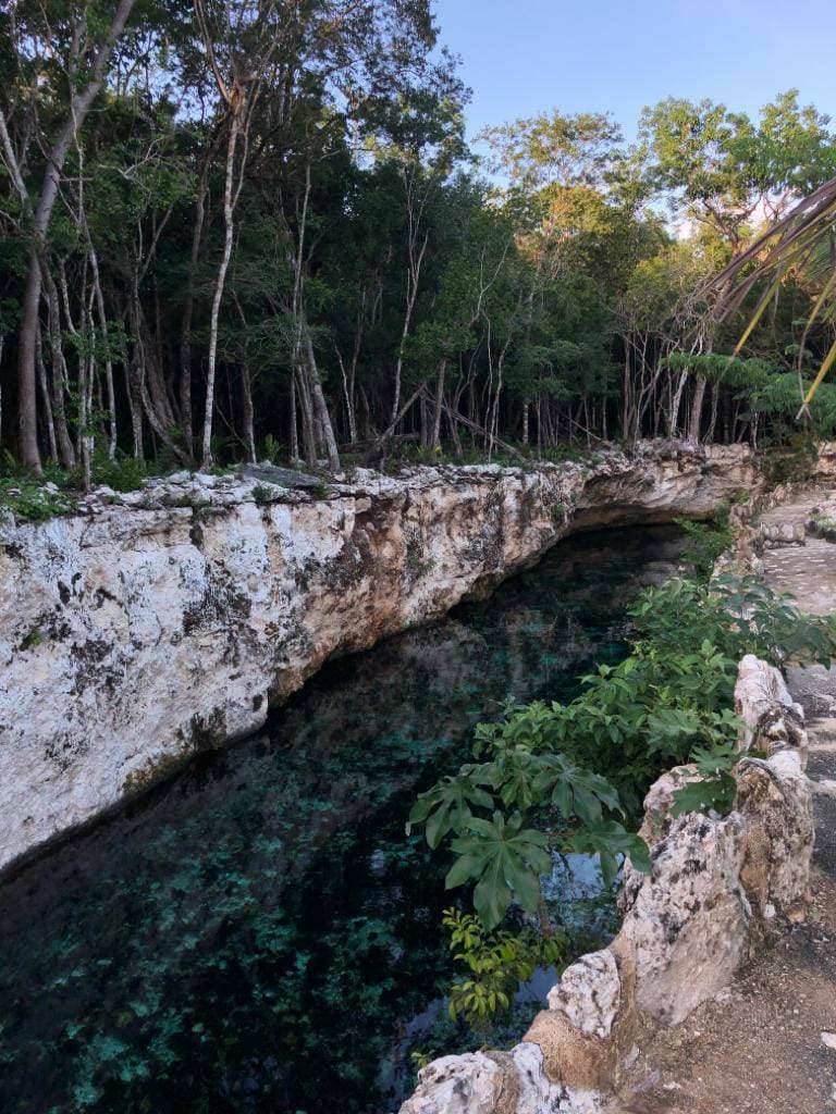 Place Cenote Tortuga