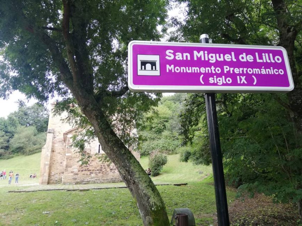 Lugar San Miguel de Lillo