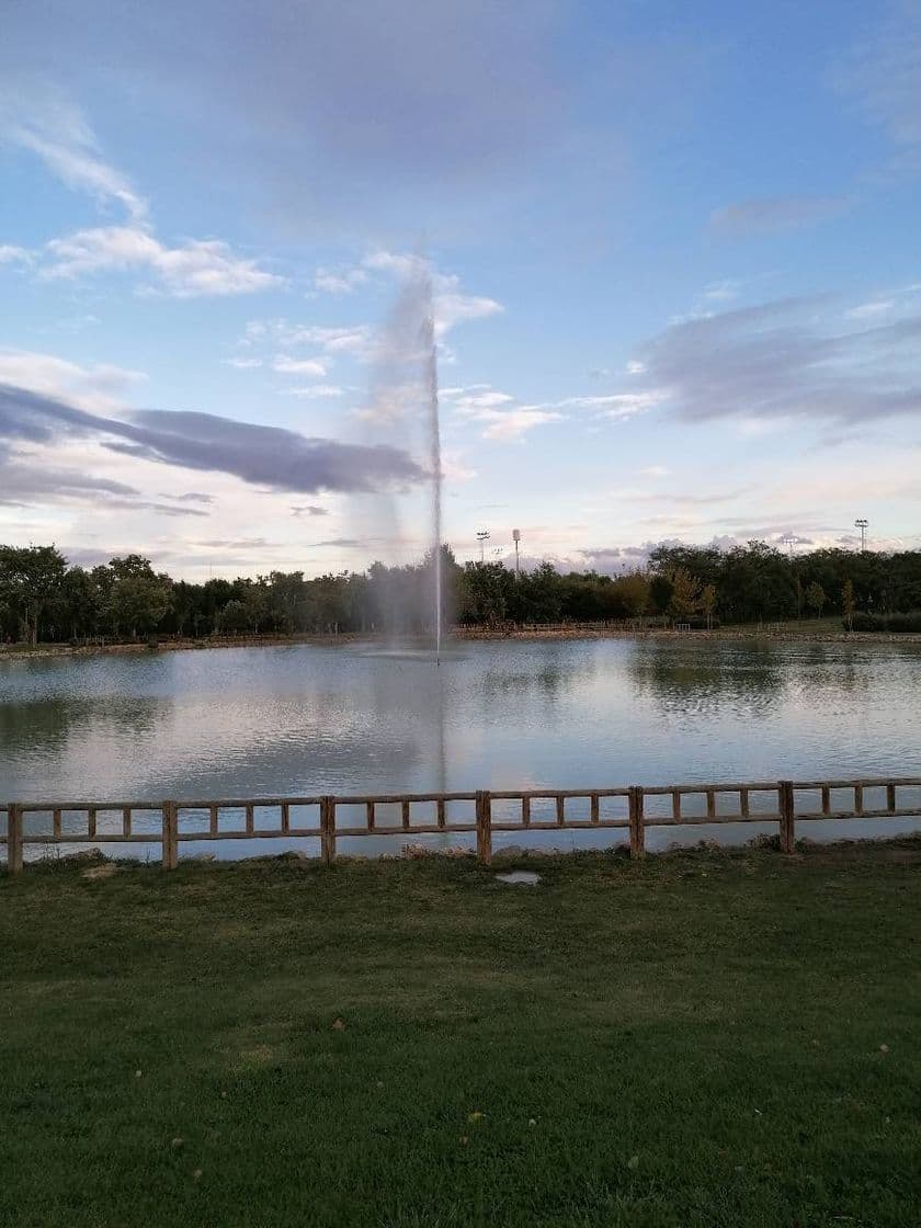 Place Parque de Las Cruces