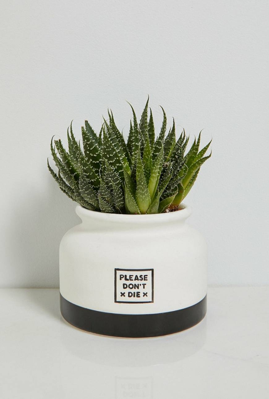 Producto Urban Outfitters please don't die plant pot