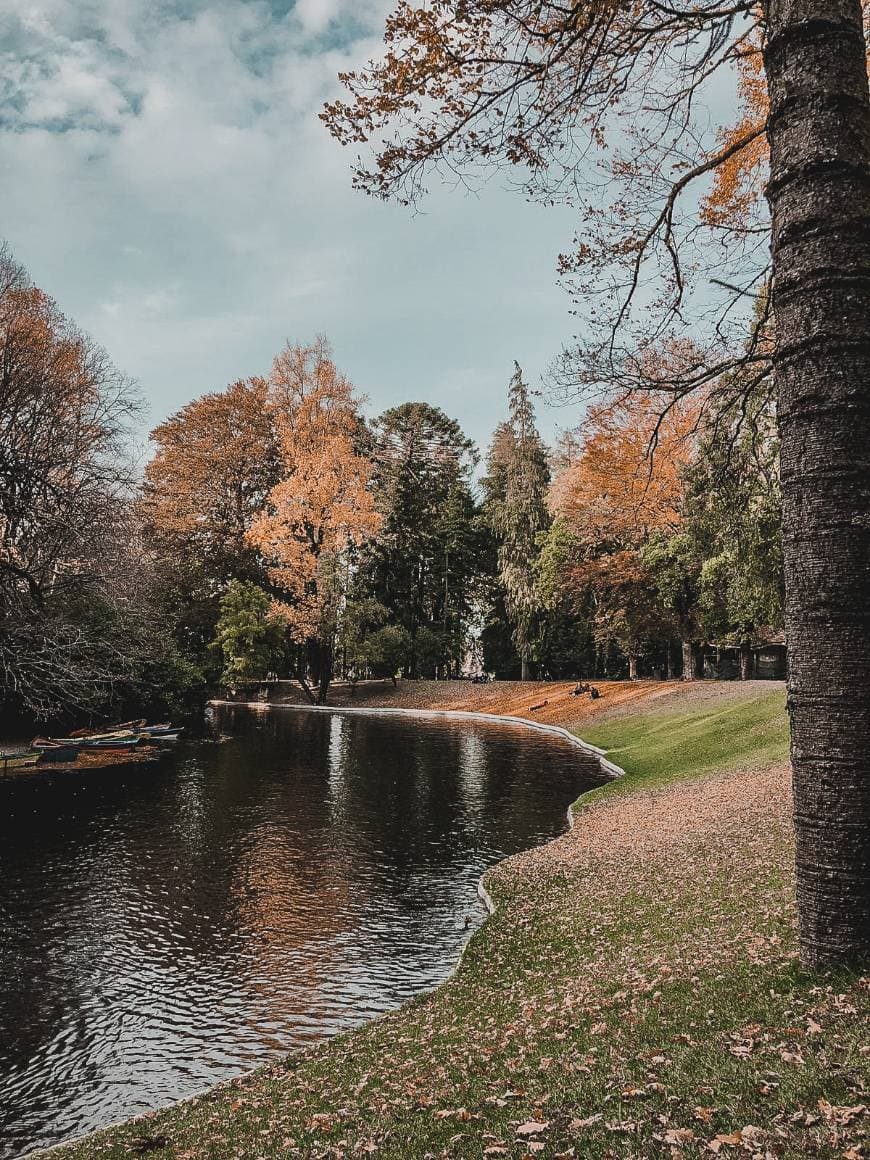 Place Lago do Bom Jesus