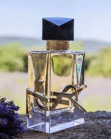 Belleza Yves Saint Laurent Ysl Libre Epv 50 ml