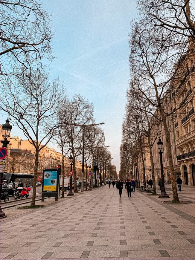 Lugar Champs Elysees