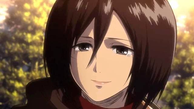 Fashion Top n°2 - Mikasa Ackerman