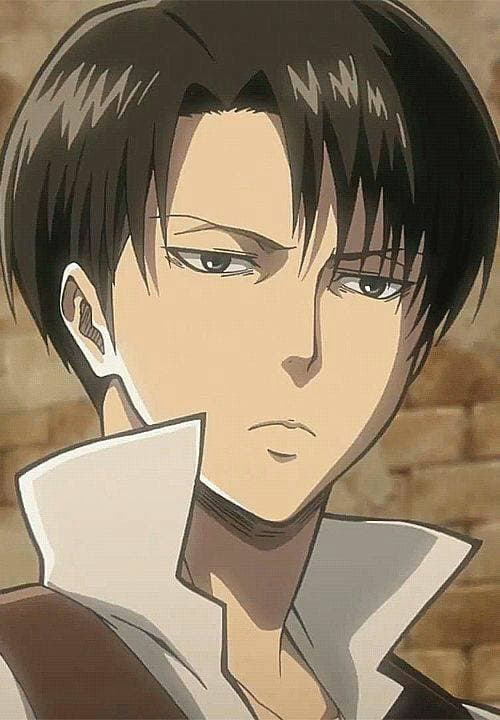 Fashion Top n°1 - Levi Ackerman